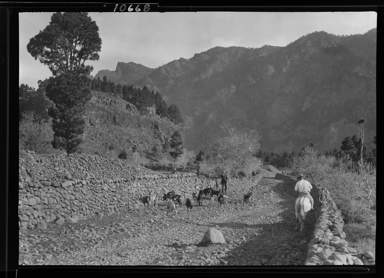 Joven pastor camino de la Cumbrecita.